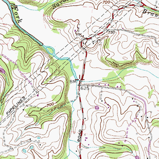 Topographic Map of Long Branch, TN