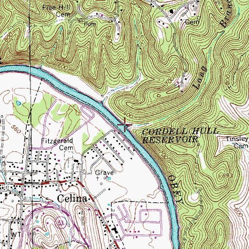 Topographic Map of Long Branch, TN