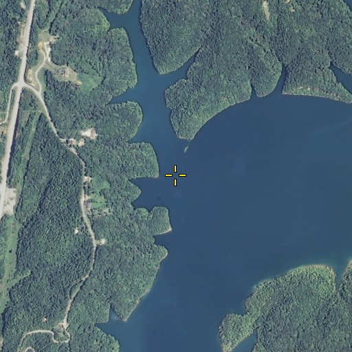 Aerial/Satellite Image of Long Branch, TN