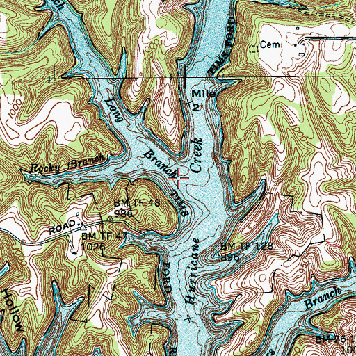 Topographic Map of Long Branch, TN