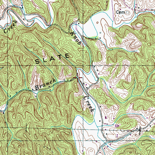 Topographic Map of Long Branch, TN