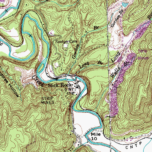 Topographic Map of Long Branch, TN