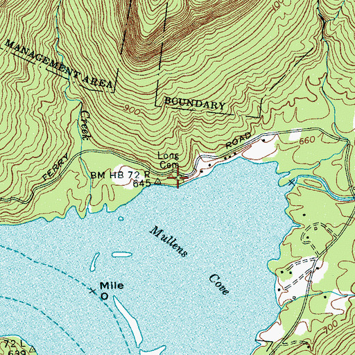 Topographic Map of Long Cemetery, TN