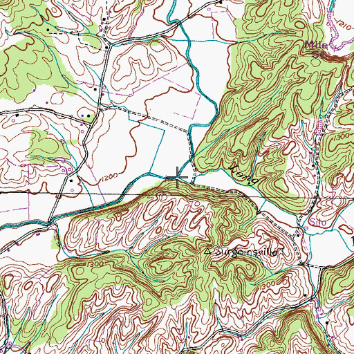 Topographic Map of Long Fork, TN