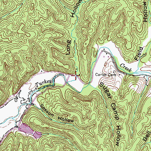 Topographic Map of Long Hollow, TN
