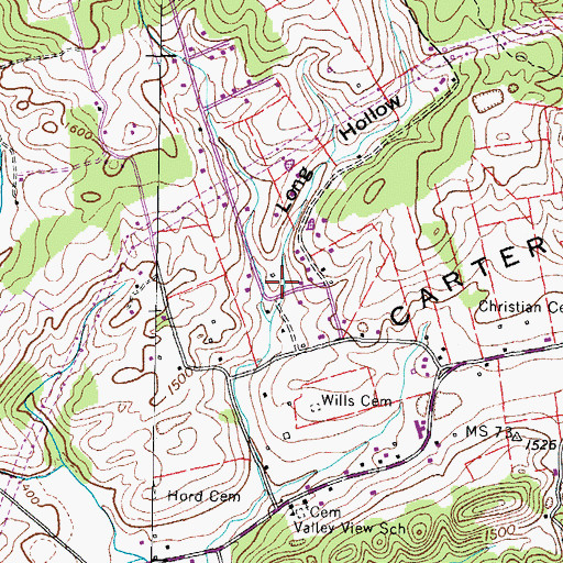 Topographic Map of Long Hollow, TN
