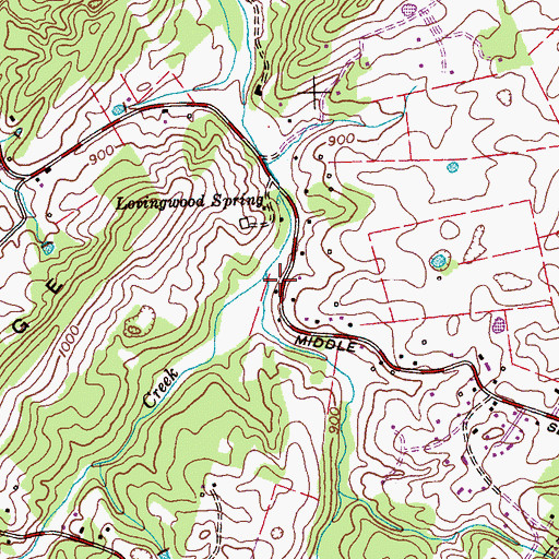Topographic Map of Long Hollow, TN