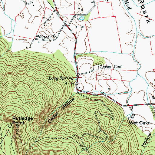 Topographic Map of Long Spring, TN