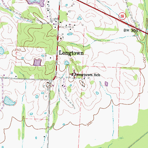 Topographic Map of Longtown School, TN