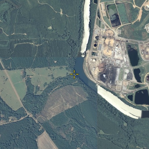 Aerial/Satellite Image of Woods Branch, AL
