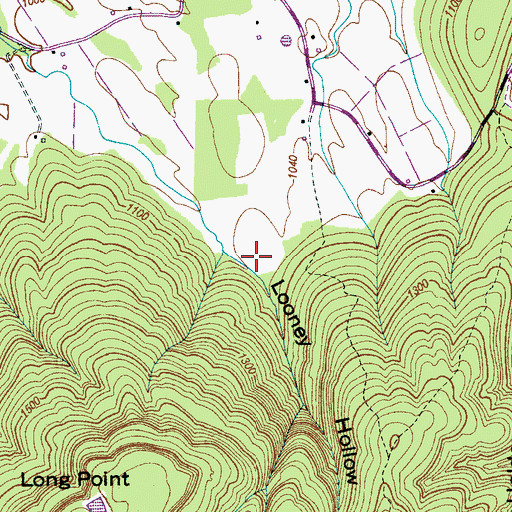 Topographic Map of Looney Hollow, TN