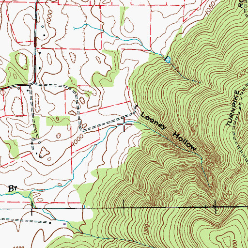 Topographic Map of Looney Hollow, TN