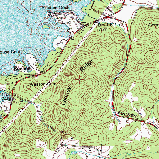 Topographic Map of Looney Ridge, TN