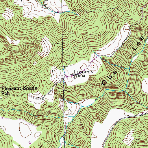 Topographic Map of Looper Cemetery, TN