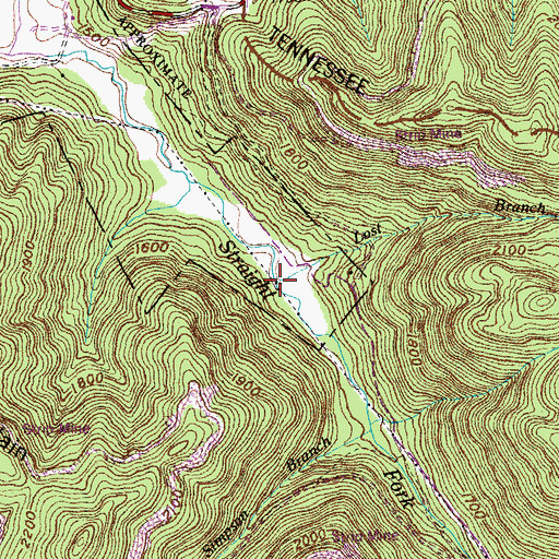 Topographic Map of Lost Branch, TN