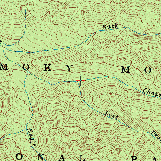 Topographic Map of Lost Prong, TN