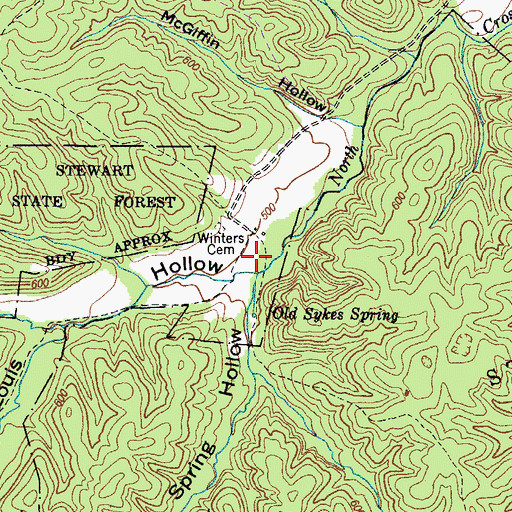 Topographic Map of Louis Hollow, TN