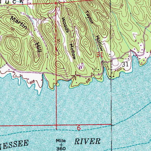 Topographic Map of Woods Hollow, AL