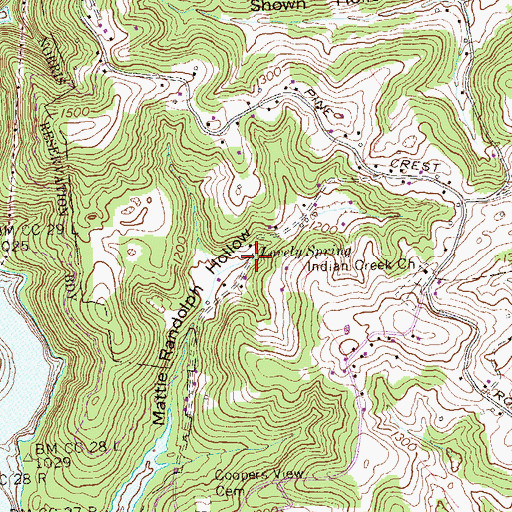 Topographic Map of Lovely Spring, TN