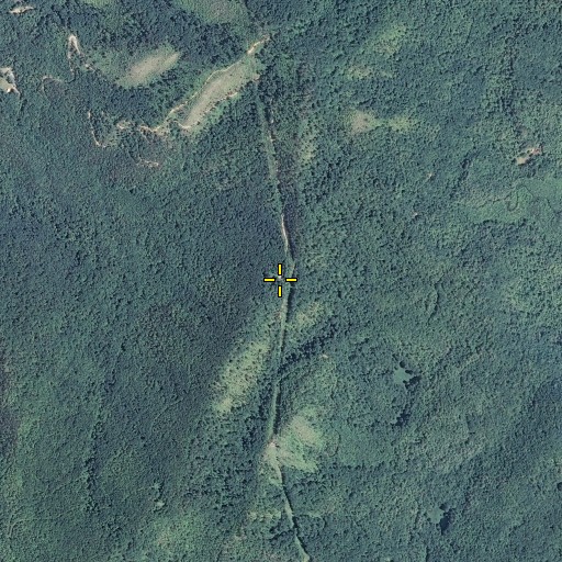 Aerial/Satellite Image of Low Gap, TN