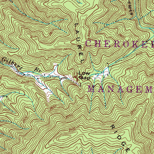 Topographic Map of Low Gap, TN