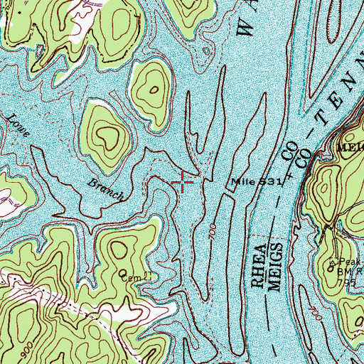 Topographic Map of Lowe Branch, TN