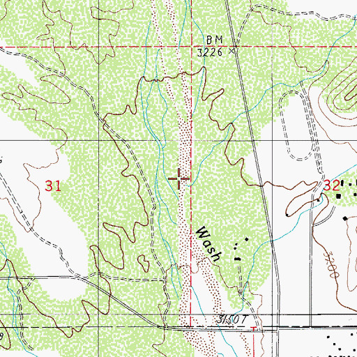 Topographic Map of Twentynine Wash, AZ