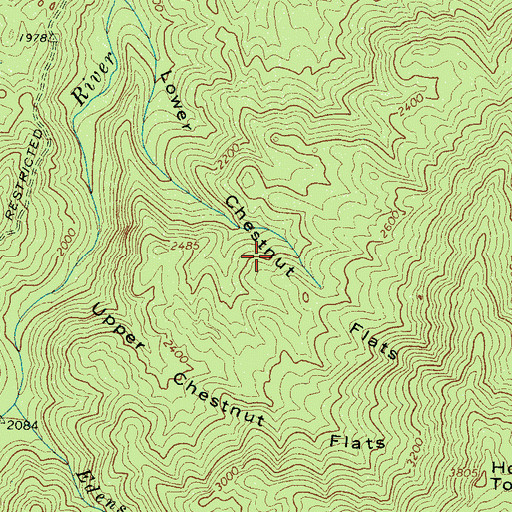 Topographic Map of Lower Chestnut Flats, TN