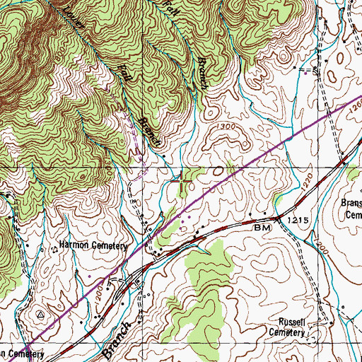 Topographic Map of Lower Fall Branch, TN
