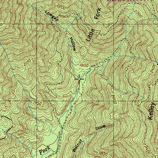 Topographic Map of Lowgap Hollow, TN