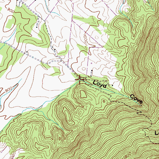 Topographic Map of Loyd Cove, TN