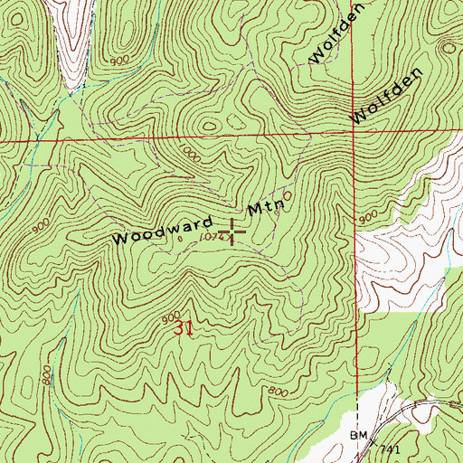 Topographic Map of Woodward Mountain, AL