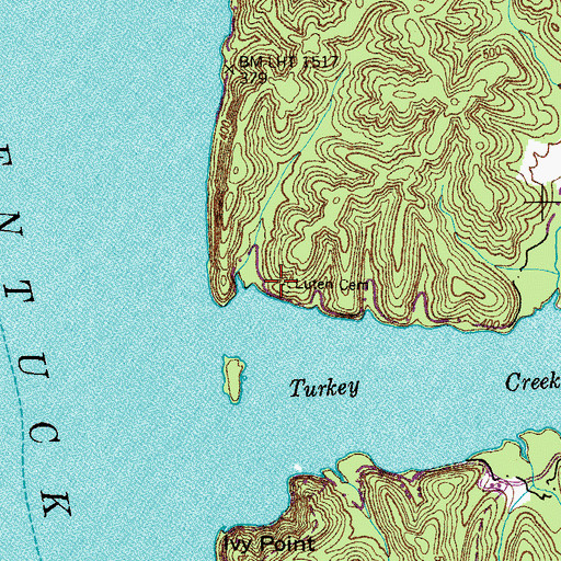 Topographic Map of Luten Cemetery, TN