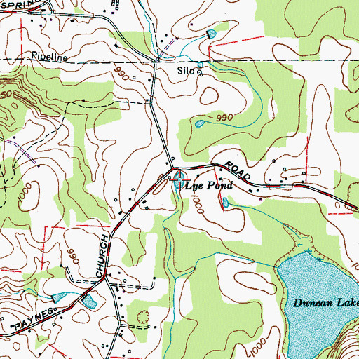 Topographic Map of Lye Pond, TN