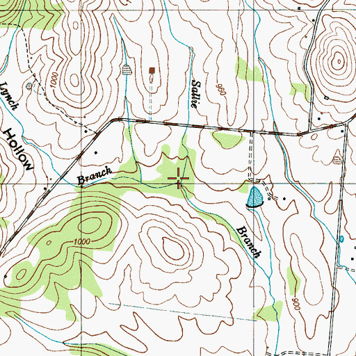 Topographic Map of Lynch Branch, TN