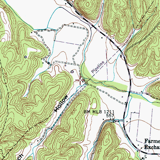 Topographic Map of Lynch Hollow, TN