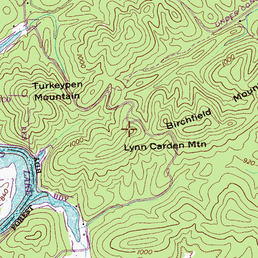 Topographic Map of Lynn Carden Mountain, TN