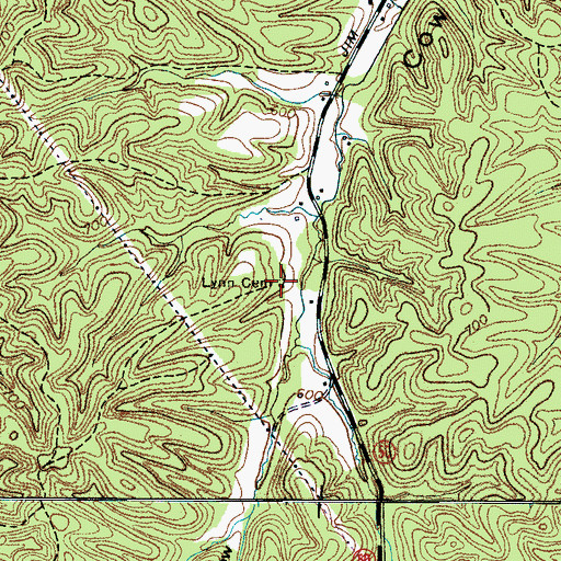 Topographic Map of Lynn Cemetery, TN
