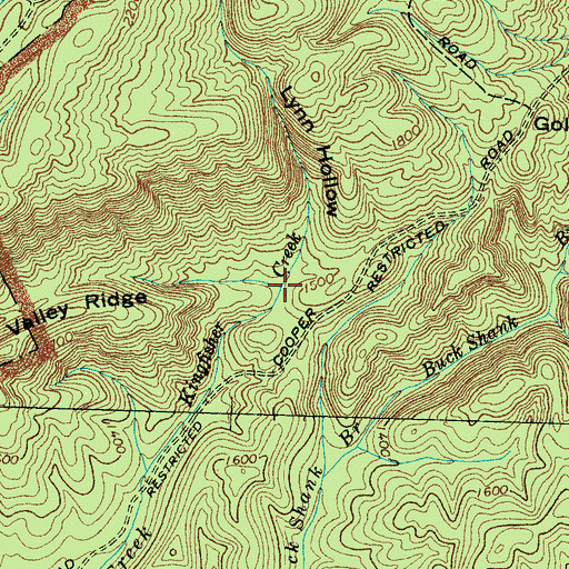 Topographic Map of Lynn Hollow, TN