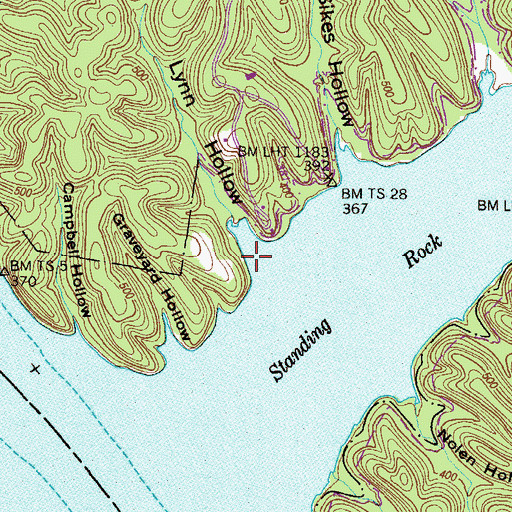Topographic Map of Lynn Hollow, TN