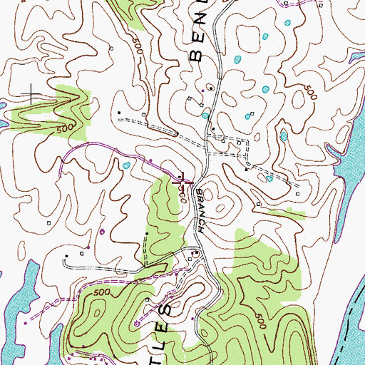 Topographic Map of Lytles Bend, TN