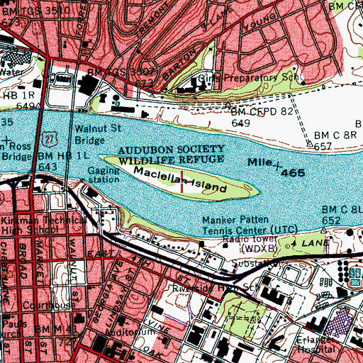 Topographic Map of Maclellan Island, TN