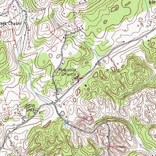 Topographic Map of Magnolia Church, TN