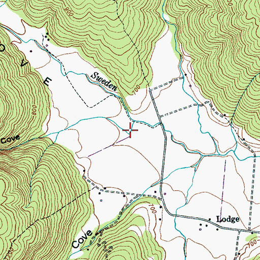 Topographic Map of Main Cove, TN