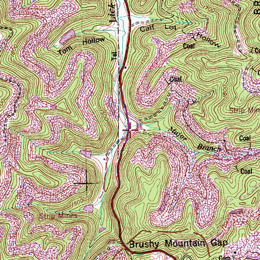 Topographic Map of Major Branch, TN