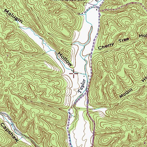 Topographic Map of Malugin Hollow, TN