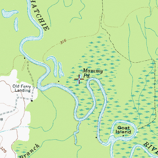 Topographic Map of Mammy Pond, TN