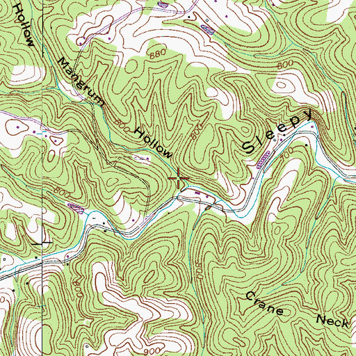 Topographic Map of Mangrum Hollow, TN
