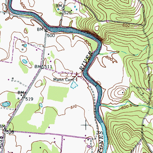Topographic Map of Mann Cemetery, TN