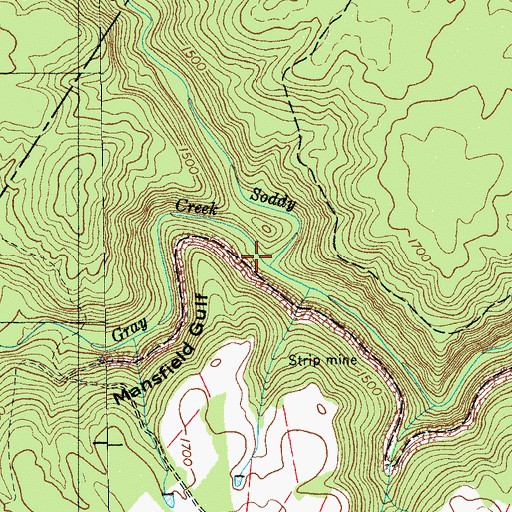 Topographic Map of Mansfield Gulf, TN